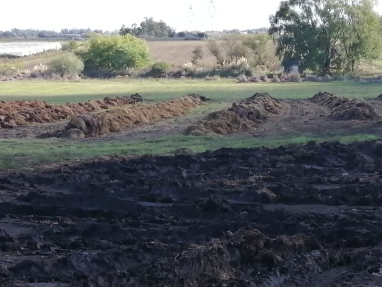 Panorámica-movimiento-de tierra-inicio-lombricultivo