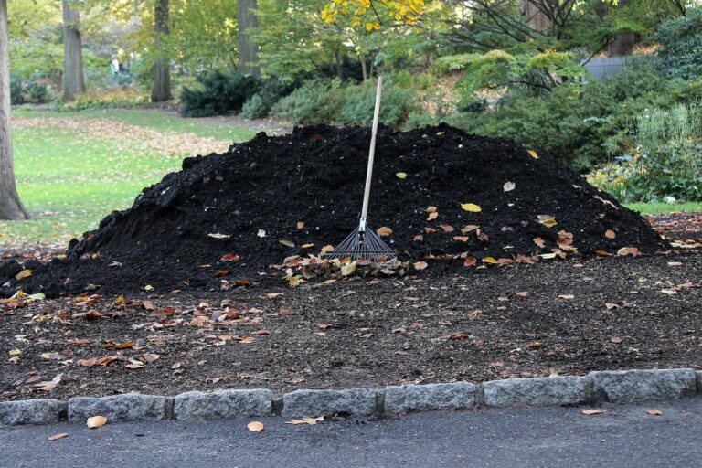 Raking up soil and leaves, composting