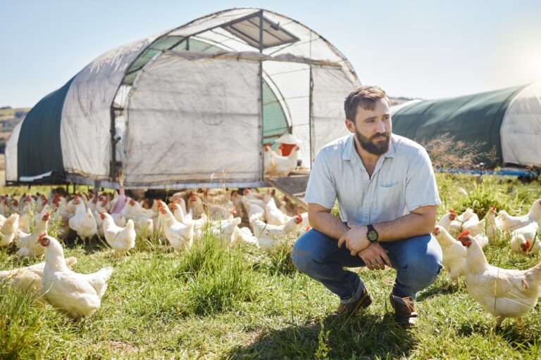 Man on farm, chicken and agriculture, thinking about livestock agro business and sustainability, or